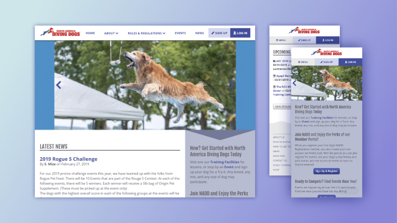 Dog sport website and portal illustrative graphic