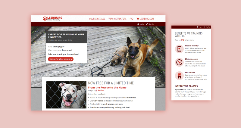 Dog training online university illustrative graphic